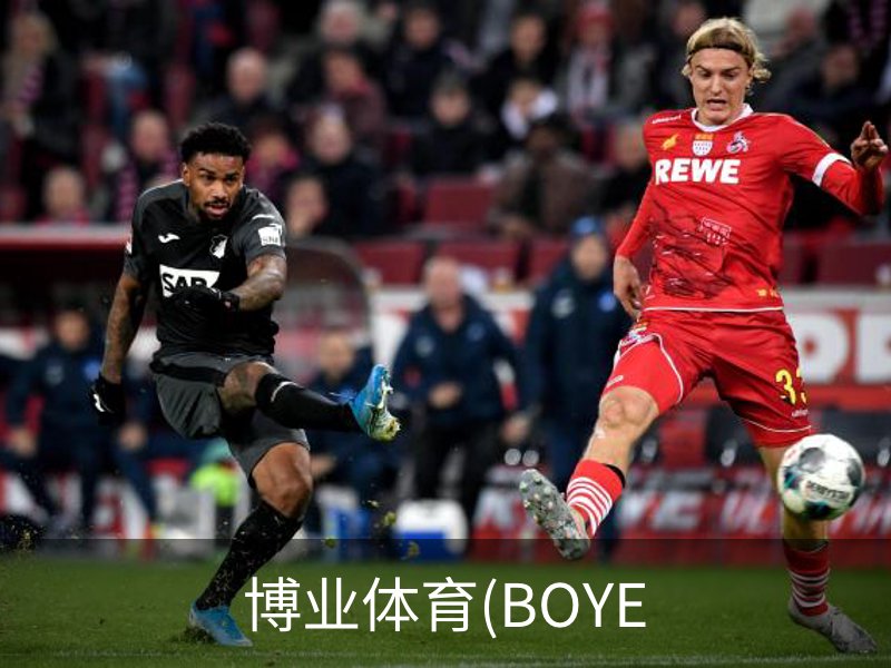 关于博业体育(BOYE
